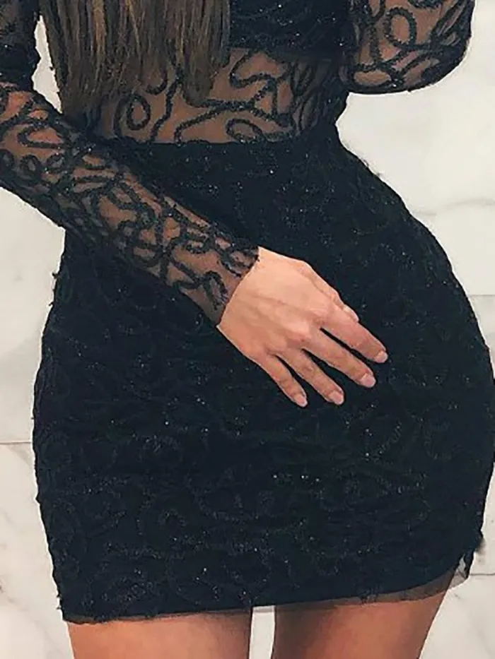 High Neck  Decorative Lace See-Through  Shimmering Powder Bodycon Dresses