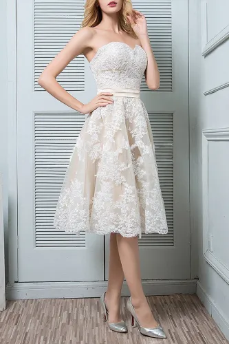 Sexy Sleeveless Lace Bare Back Pure Colour Evening Dress