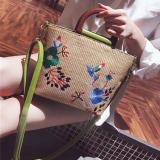 Women Embodied Straw Crossbody Bags