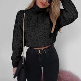 Fashion Long Sleeve Turtleneck Sweater