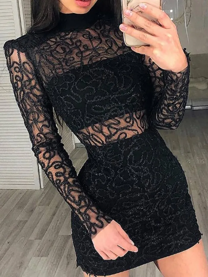 High Neck  Decorative Lace See-Through  Shimmering Powder Bodycon Dresses