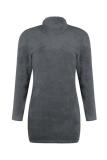 High Neck  Plain  Long Sleeve Bodycon Dresses