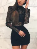 High Neck  Decorative Lace See-Through  Shimmering Powder Bodycon Dresses