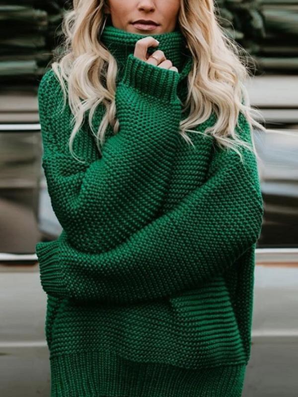 Turtle Neck Plain Casual Sweaters