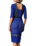 Elegant Round Neck Slim Lace Bodycon Dress
