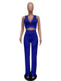 Summer Party Solid Color Halter Crop Top and High Waist Pants Set