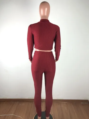 Autumn Solid Plain Fit Crop Top and Pants Set