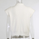 Autumn Turtleneck Cap Sleeve Loose Sweater