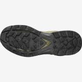 QUEST 4D GORE-TEX FORCES 2 EN - SALOMON