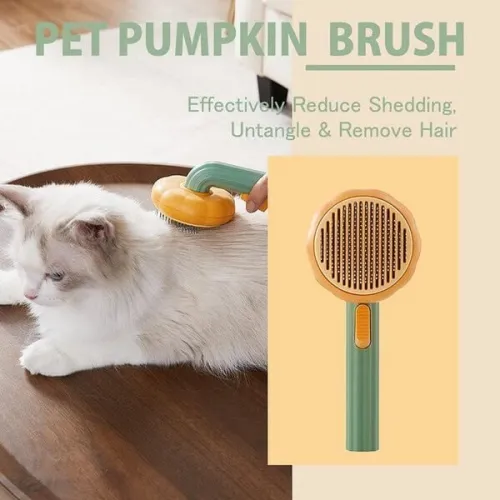 🐈Pumpkin Pet Comb