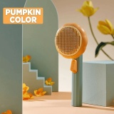 🐈Pumpkin Pet Comb