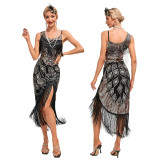 226 Women's Flapper Dresses 1920s