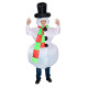 E013 Santa Claus & Roast Turkey Costume