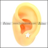 Stainless Steel Earring e002074