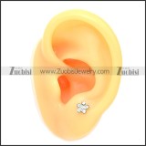 Stainless Steel Earring e002067