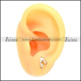 Stainless Steel Earring e002087