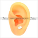 Stainless Steel Earring e002075