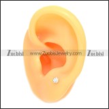 Stainless Steel Earring e002076