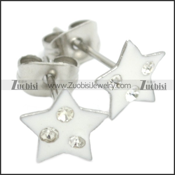 Stainless Steel Earring e002074