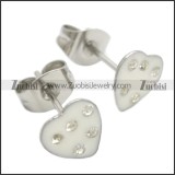 Stainless Steel Earring e002073