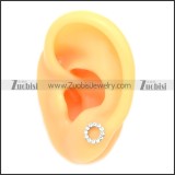 Stainless Steel Earring e002071