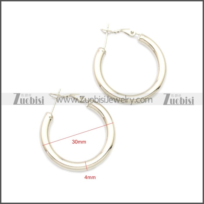 Stainless Steel Earring e002136S4