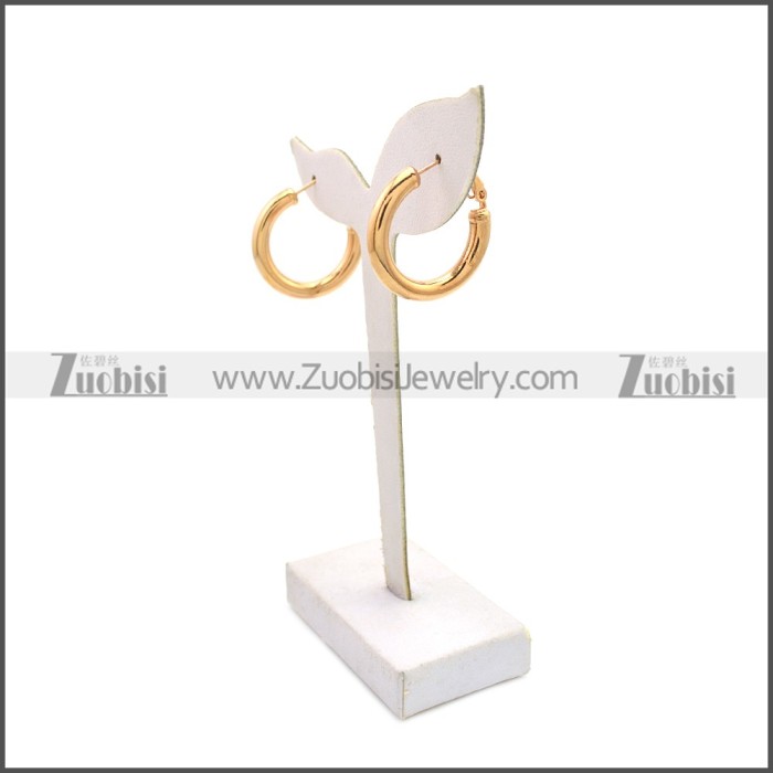 Stainless Steel Earring e002136R5