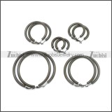 Stainless Steel Earring e002136H3