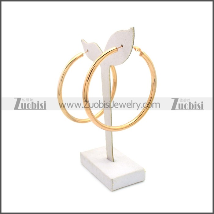 Stainless Steel Earring e002136R1