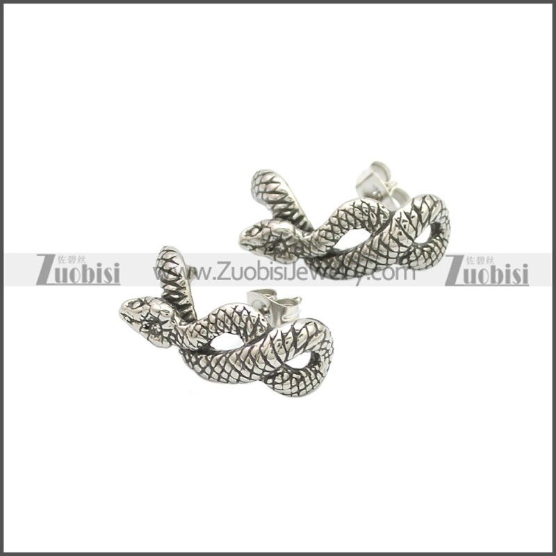 Stainless Steel Earring e002124SA