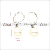 Stainless Steel Earring e002146S2
