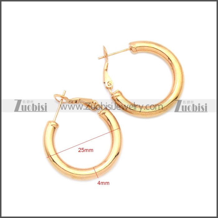 Stainless Steel Earring e002136R5