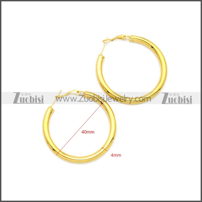Stainless Steel Earring e002136G3