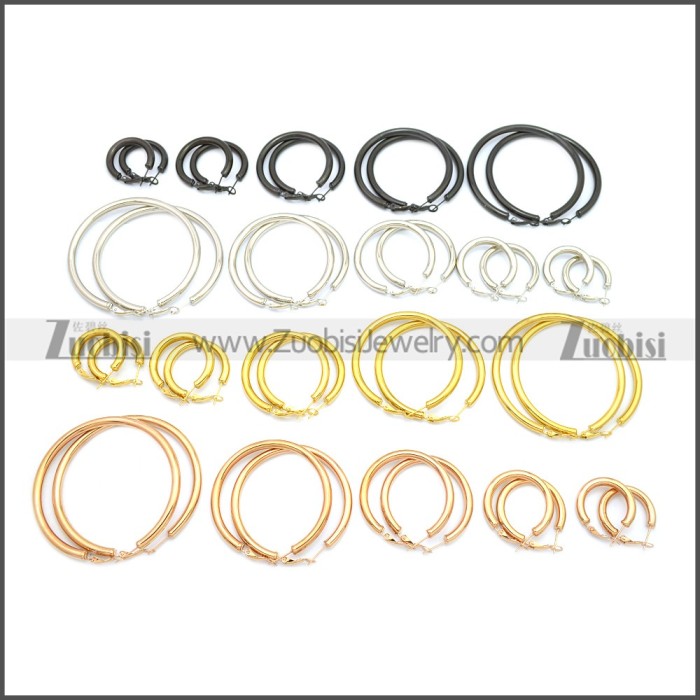 Stainless Steel Earring e002136H2