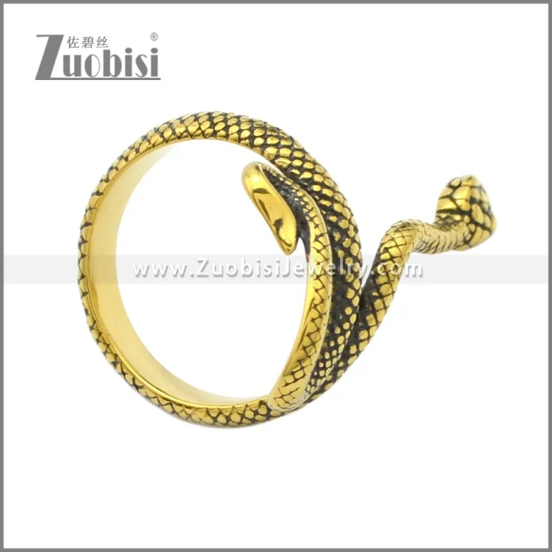 Stainless Steel Ring r008717GA