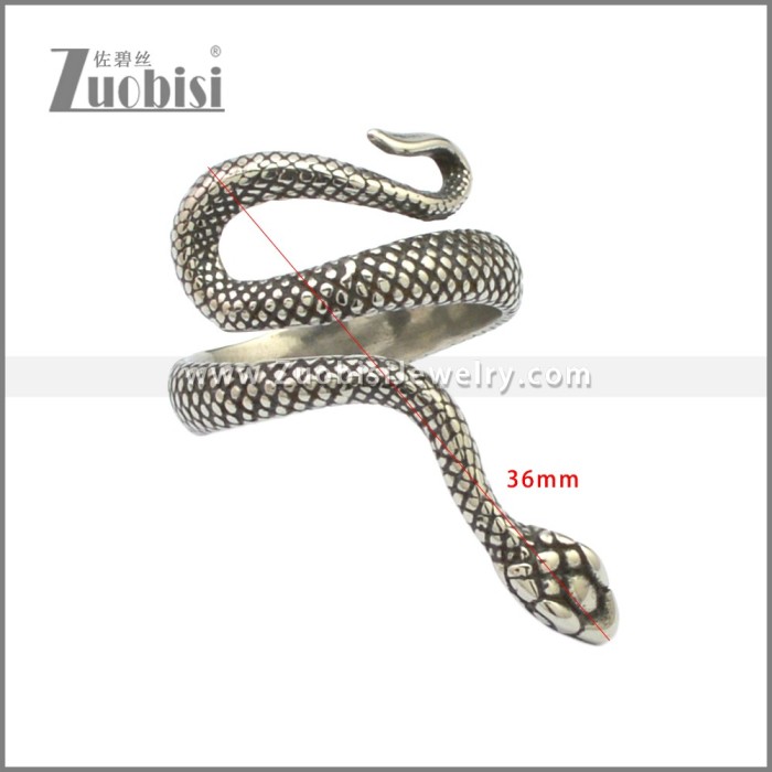 Stainless Steel Ring r008717SA