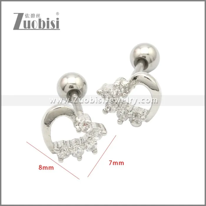 Stainless Steel Earring e002175S