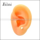 Stainless Steel Earring e002171G3