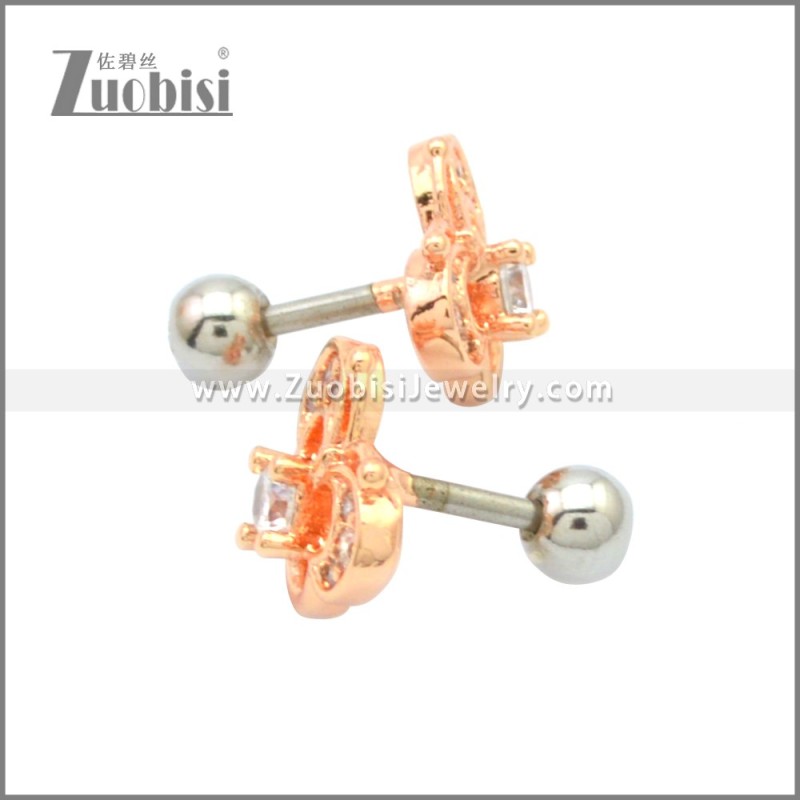 Stainless Steel Earring e002177R