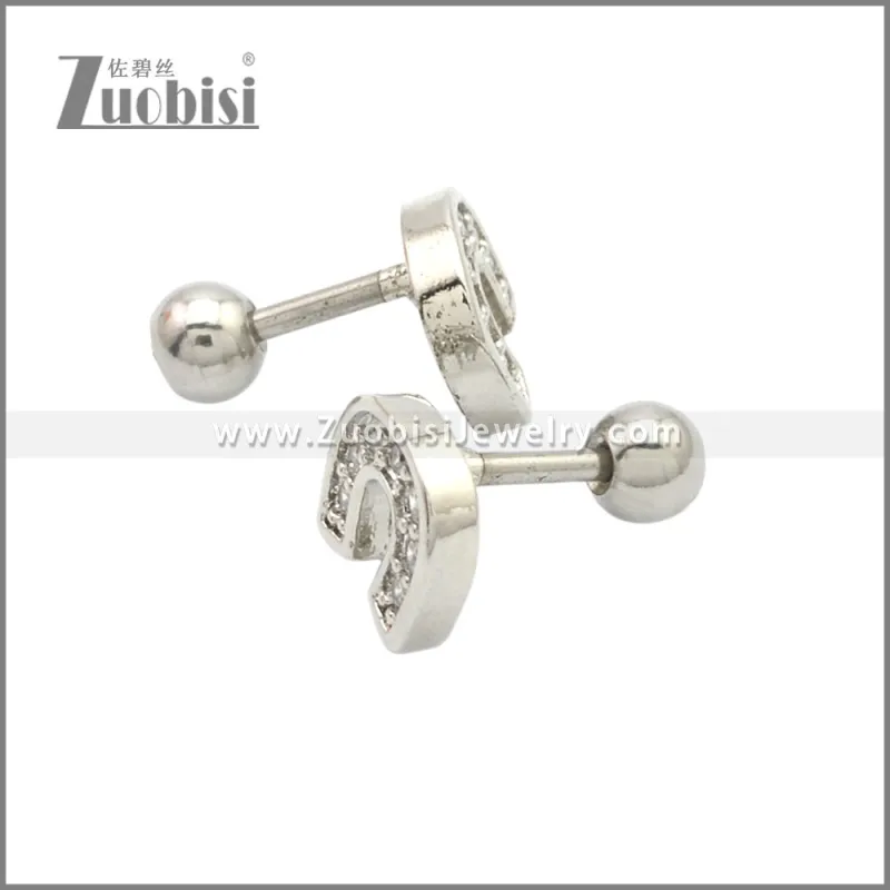 Stainless Steel Earring e002173S