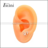 Stainless Steel Earring e002177R