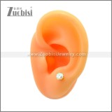 Stainless Steel Earring e002171G2