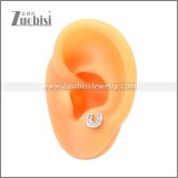 Stainless Steel Earring e002173S