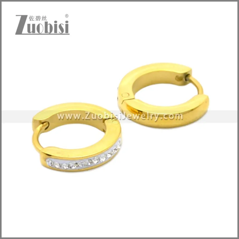Stainless Steel Earring e002210G