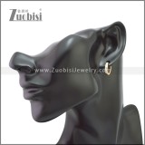 Stainless Steel Earring e002210R