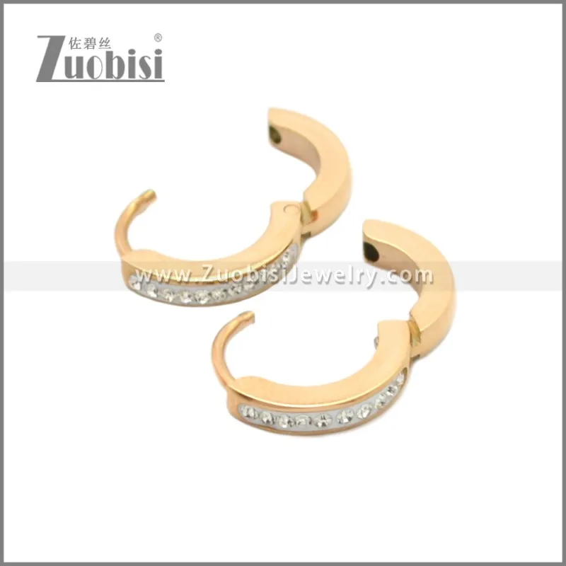 Stainless Steel Earring e002210R