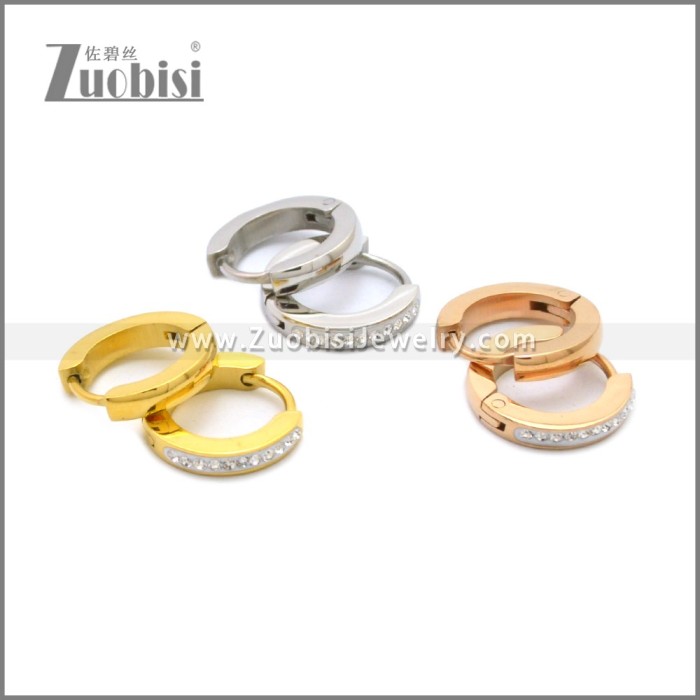 Stainless Steel Earring e002210S