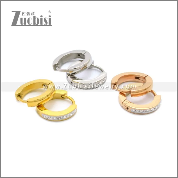 Stainless Steel Earring e002210R