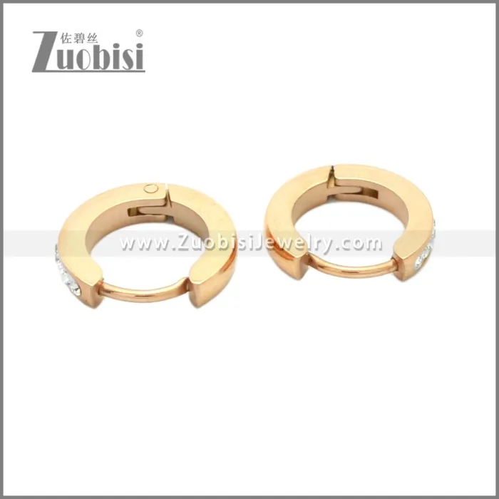Stainless Steel Earring e002210R