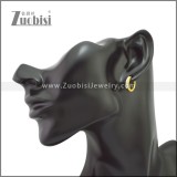 Stainless Steel Earring e002210G